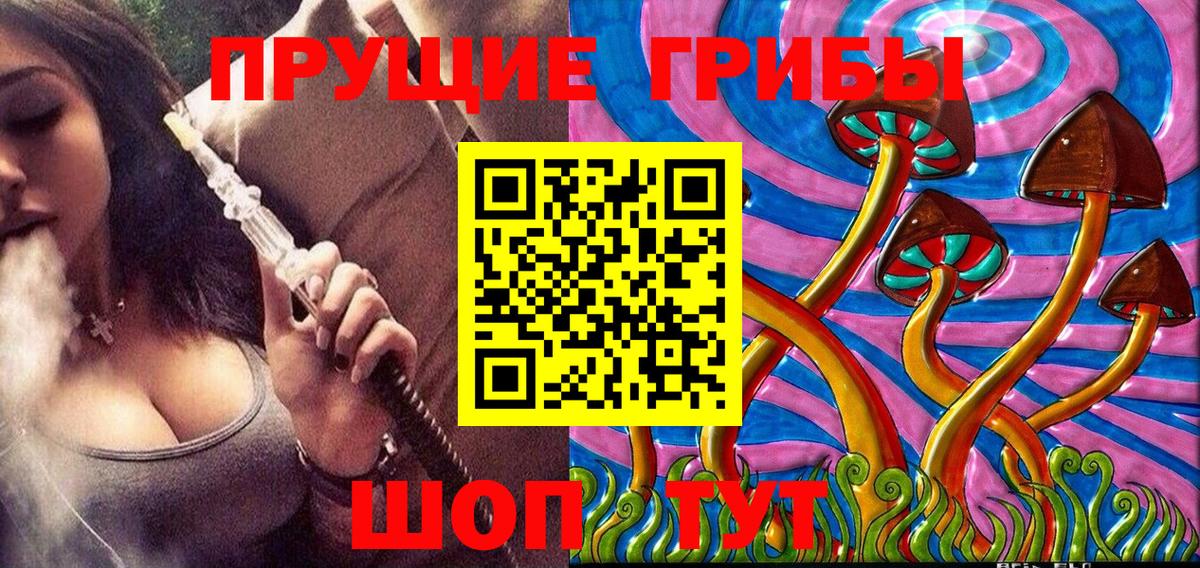 Сорочинск  Псилоцибиновые грибы GOLDEN TEACHER  Галлюциногенные грибы MAGIC MUSHROOMS  Вход с VPN 